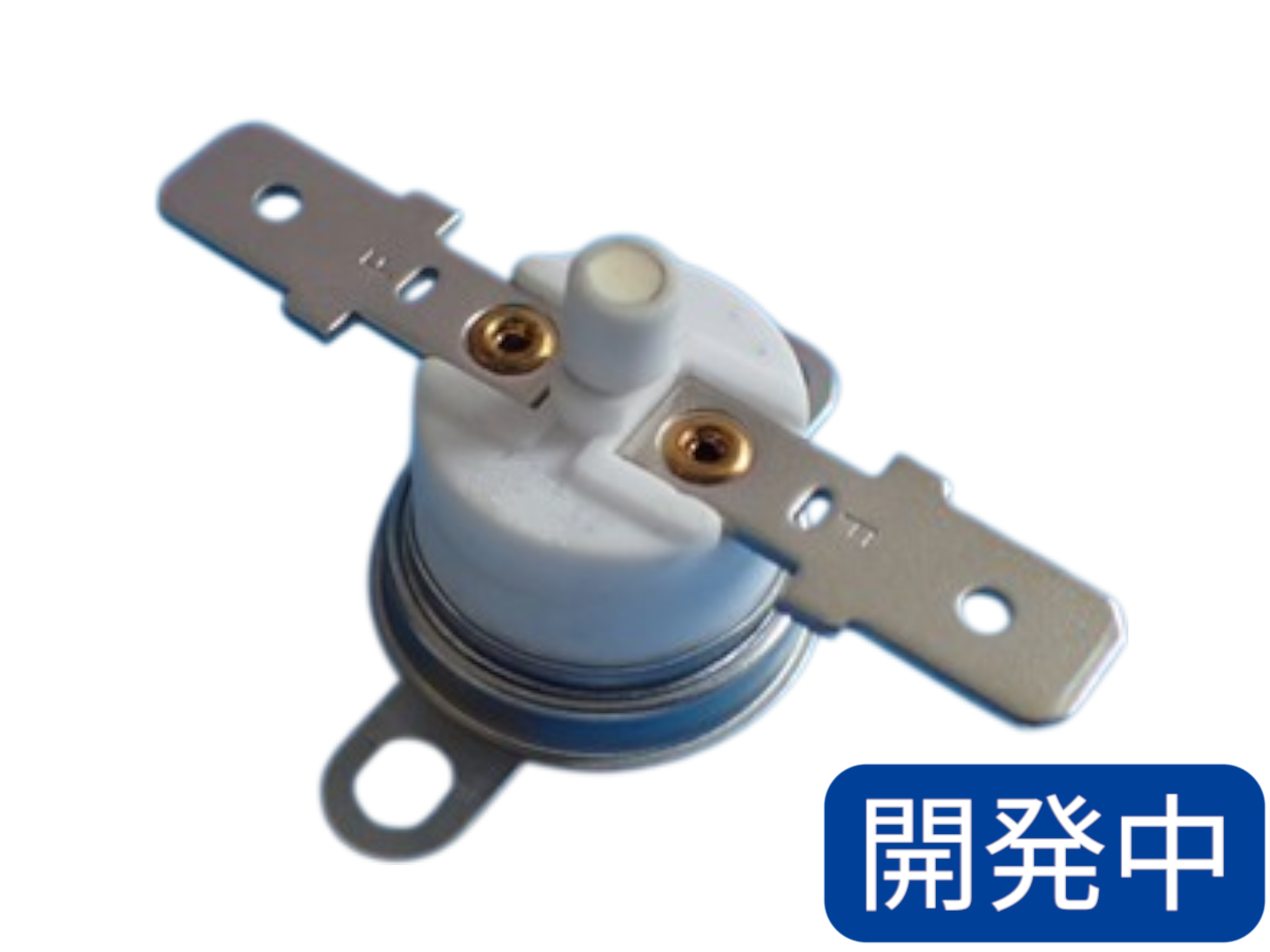 製品写真